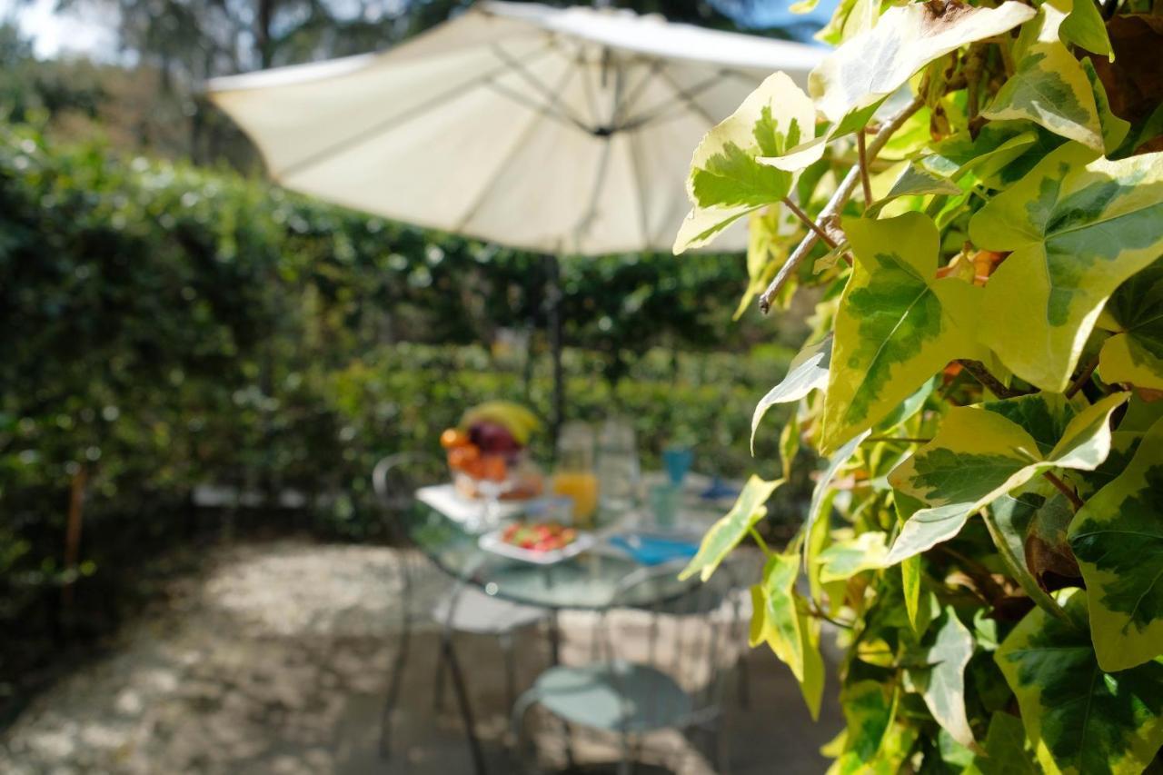 Villa Il Leone Florencie Exteriér fotografie